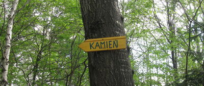 Figuły [Odbicie z żółtego szlaku na Diebelski Kamień.]