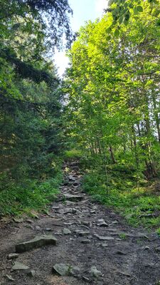 Czerwono-niebieski szlak na wysokości ok. 1000 m. n.p.m.