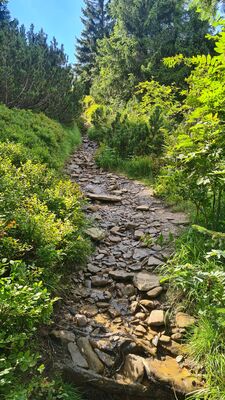 Niebieski szlak zamieniony w potok na wysokości ok. 1370 m n.p.m.
