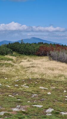 Babia Góra ze szczytu Pilsko