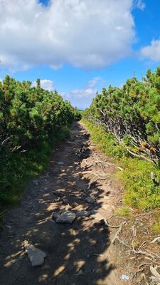 Zielony szlak pod szczytem Pilsko