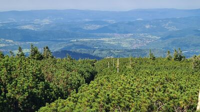 Szlak w kierunku Hali Słowikowej