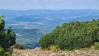 Widok z czarno-niebieskiego szlaku w kierunku północnym