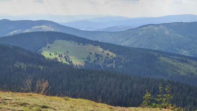 Widok na Halę Cudzichową
