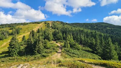 Widok Pod Kopcem na wejście w kierunku Hali Słowikowej