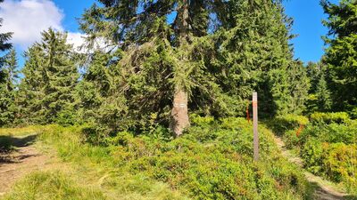 Rozejście szlaków w okolicy Hali Cebulowej