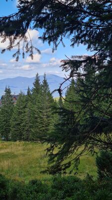 Babia Góra z Hali Miziowej