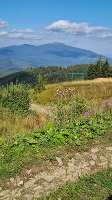 Babia Góra spod W dole Schroniska PTTK Na Hali Miziowej