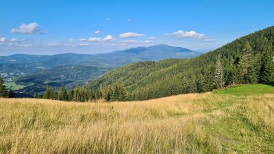 Babia Góra spod W dole Schroniska PTTK Na Hali Miziowej