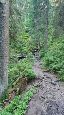 Potok Glinna przecinający czerwony szlak na wysokości ok. 1200 m n.p.m.