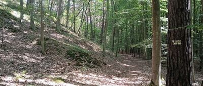 Mikoszewo, ul. Gdańska ↔ Jantar