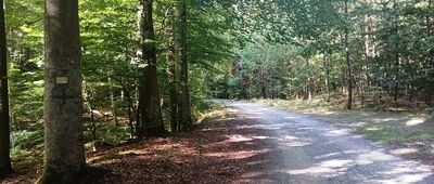 Kąty Rybackie, ul. Morska ↔ Przekop Mierzei Wiślanej