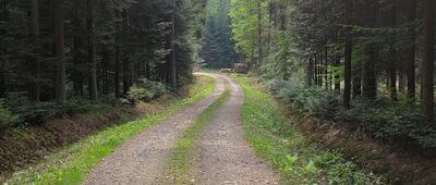 Ciężkowice, Park Zdrojowy ↔ Rzepiennik Biskupi