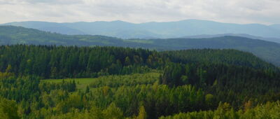 Budzów ↔ Chełm Wschodni