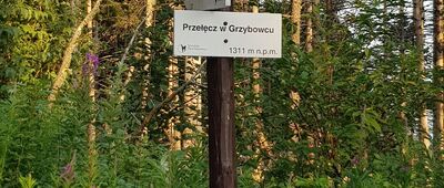 Przełęcz w Grzybowcu