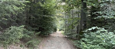 Rozwidlenie pod Rymarzem ↔ Zimna Polanka