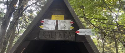 Kalenica