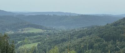 Rozwidlenie nad Zygmuntówką ↔ Rozwidlenie pod Zimną Polanką, zachód