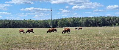 Kopanica ↔ Tobołowo, zajazd [W Tobołowie]