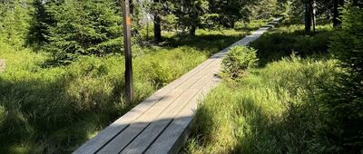 Nad Vlašskými Boudami ↔ Václavák, rozc.