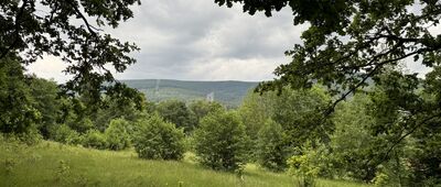 Rozejście szlaków ↔ Świeradów-Zdrój, ul. Sybiraków