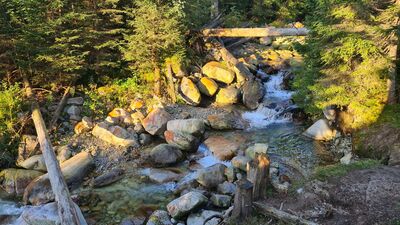 Waksmudzki Potok z niebieskiego szlak w kierunku Czerwonych Brzeżków