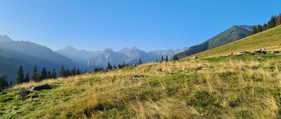 Rusinowa Polana ↔ Czerwone Brzeżki [Widok na Tatry z Rusinowej Polany]