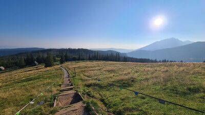 Widok z podejścia na Gęsią Szyję na Rusinowej Polanie