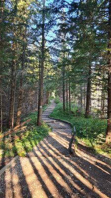 Poranek na zielonym szlaku pod Gęsią Szyją