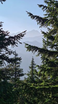 Widok z Gęsiej Szyi 1489 m n.p.m.