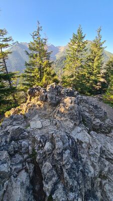 Widok z Gęsiej Szyi 1489 m n.p.m.