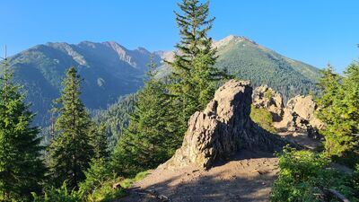 Widok z Gęsiej Szyi 1489 m n.p.m.
