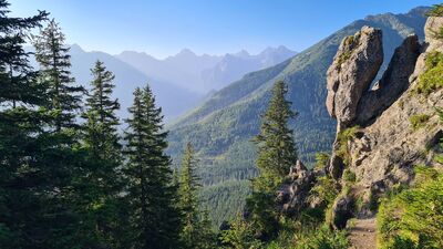 Widok z Gęsiej Szyi 1489 m n.p.m.