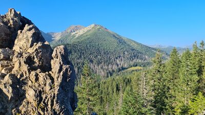 Widok z Gęsiej Szyi 1489 m n.p.m.