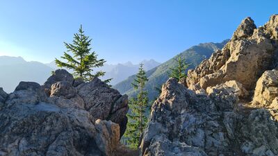 Widok z Gęsiej Szyi 1489 m n.p.m.
