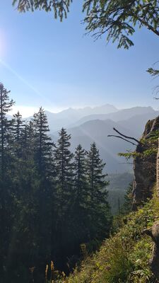 Widok z Gęsiej Szyi 1489 m n.p.m.