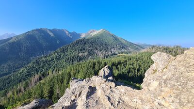 Widok z Gęsiej Szyi 1489 m n.p.m.