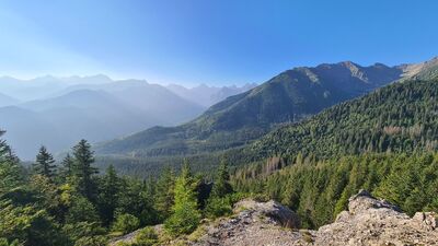 Widok z Gęsiej Szyi 1489 m n.p.m.