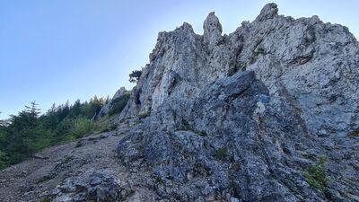Gęsia Szyja 1489 m n.p.m.