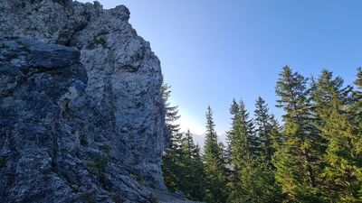 Gęsia Szyja 1489 m n.p.m.
