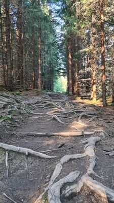 Zielony szlak pod Gęsią Szyją