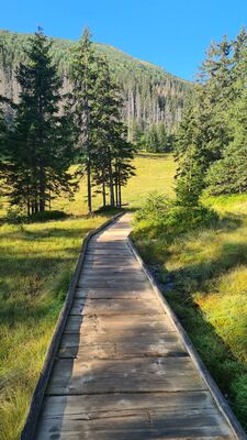 Waksmudznka Rówień