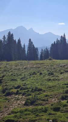 Widok na Tatry z Waksmudzkiej Przełęczy