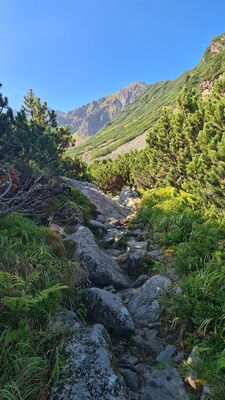 Czarny szlak w Dolinie Pańszczycy