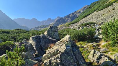 Rozejście szlaków w Dolinie Pańszczycy