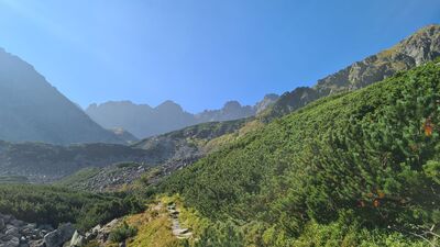 Żółty szlak w Dolinie Pańszczycy