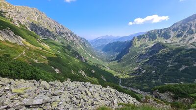 Dolina Roztoki widziana z żółtego szlaku na Niżnich Rzędach