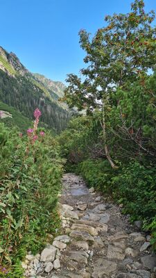 Czarny szlak ze Schroniska PTTK w Dolinie Pięciu Stawów Polskich w kierunku Doliny Roztoki
