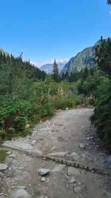 Zielony szlak (Dolina Roztoki)