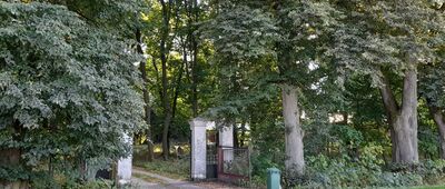 Babin [Tędy do dworu w Babinie]